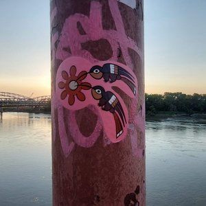 Meet your Posher, Aleli